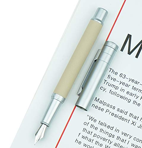 Stylo plume forêt de bouleau Hongdian idéal pour vos notes de bureau