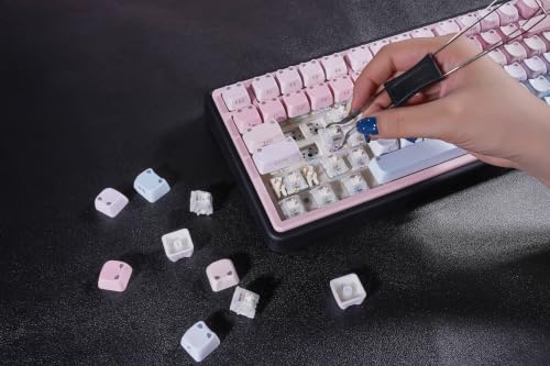 Image of ZORNHER UR82 Wireless Mechanical Keyboard,75% Creamy Keyboard with Cute Cat-Ear Shine Through Keycaps, Hot-Swappable RGB Gaming Keyboard for Windows /Mac, BT /2.4G /USB-C,Bubble Cat Pink Blue