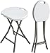 Klapphocker 2er Set, HollyHOME Tragbarer Campinghocker Faltbare Picknickhocker mit Metallbeinen Gartenhocker für BBQ Catering Camping Party Küche Draußen Drinnen