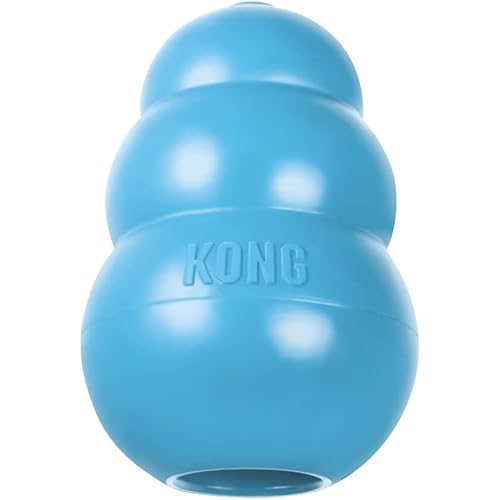 KONG - Puppy Toy Natural Teething Rubber - Fun to Chew, Chase and Fetch - for Small Puppies - Blue