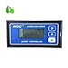 Anncus PH / orp3520 Industrial Online Detector ph5520 redox Transmitter pH Meter - (Color: Model 6)