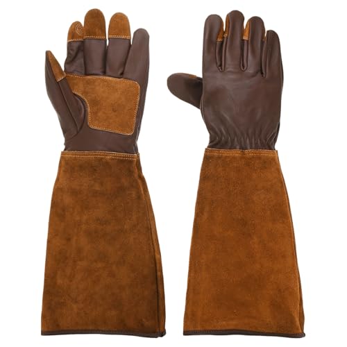 Gants de jardinage pour la taille des roses au printemps dans vos massifs