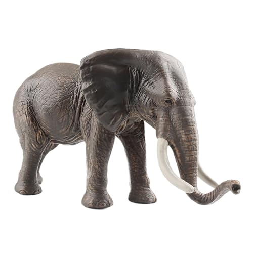 ۂ̒u | ]EtBMA mgC,wKp ȓ _CjO[ rO[ xbh[ K[fp