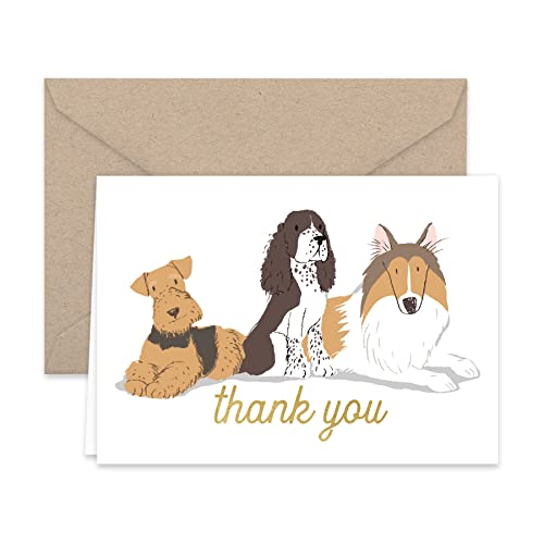 Paper Frenzy Dogs Puppies Thank You Note Card Collection 25 Pack With Kraft Envelopes #TOP5