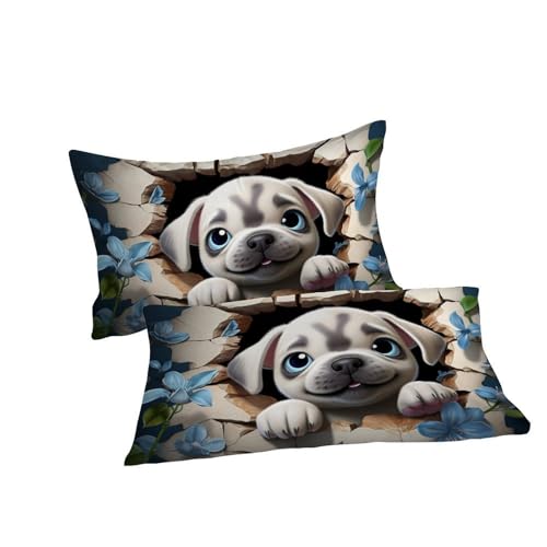 AutumnWinds Höhlenhunde Luxury 1800 Microfiber Bettwäsche-Set, 3D-Lochbruch, 3-teilig, XL Größe, Ultraweich & Atmungsaktiv Double(200x200cm)