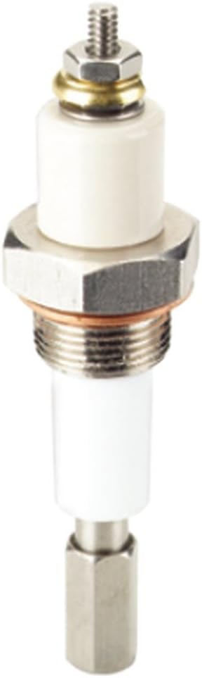 Warrick 3B1B 316 Stainless Steel Two-Piece Threaded Coupling with Single Electrode Probe, 3/8"-18 NPT Male