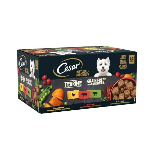 Cesar Natural Goodness – Wet Dog Food – for Adult Dogs – Mixed Selection in Loaf – 6 x 400 g