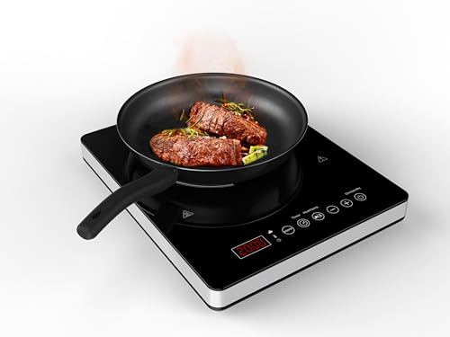 Tarrington House Placa de inducción IC2020ABS, con display LED, 31 x 38 x 4,5 cm, 220-240 V, negro