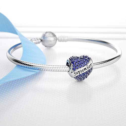 DALARAN Birthstone Charms for Charms Bracelet 925 Sterling Silver Heart Bead Happy Birthday Charms for Women2