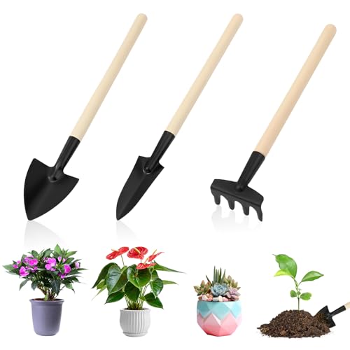 3 Juego de Herramientas de Jardín, Mini Herramientas Jardineria, Herramientas de Jardín Pequeñas, Kit de Jardinería Mango de Madera, Pala, Pala Pequeña, Rastrillo, para Suculentas, Plantas en Maceta