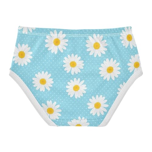 Florals Girls Underwear Toddlers 2t Cotton Little Girl Panties White Daisies Blue White Dots Briefs Undies Kids2