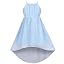 Blue Swiss Dot