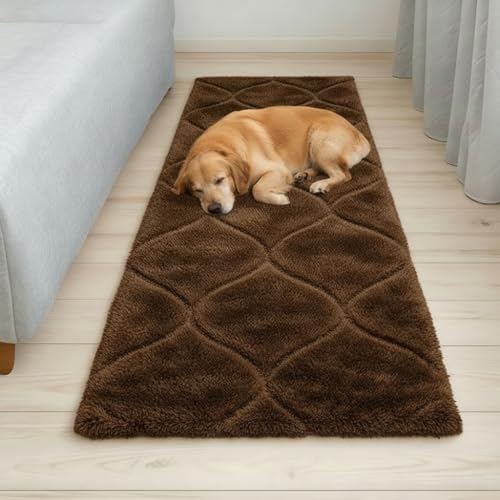 Image of Fluffy Silky Micro Fiber Polyster Carpet /Runner for Bedroom, Study Room, Playing Room, Guest Room ETC. 3x5 feet Feet, (P-9)