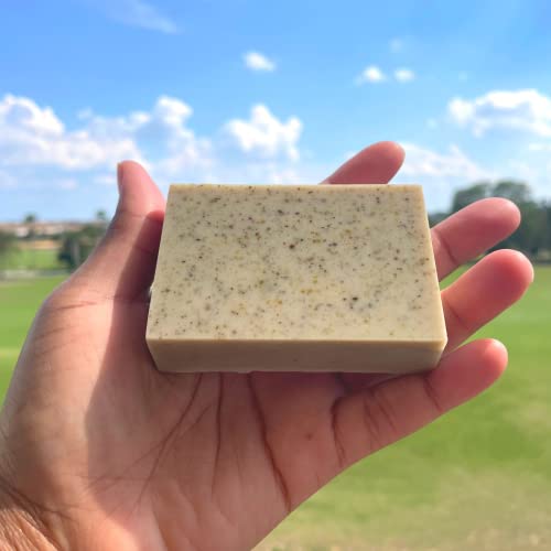 Chebe Powder For Hair Growth Shampoo Bar With Sea Moss & Fenugreek, 20 Essential Oils & Herbs, Moisturizing Shampoo, Sea Moss And Chebe Shampoo, Hair Growth Shampoo, Damaged Hair Shampoo, Hair Loss #TOP3