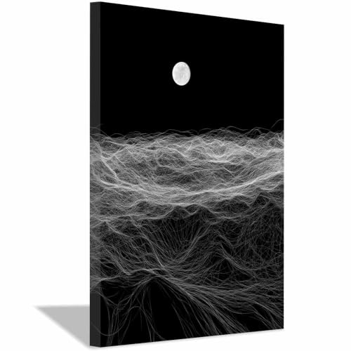 Affiche photo noir et blanc paysages lunaires XENIOU 60x90cm encadrée