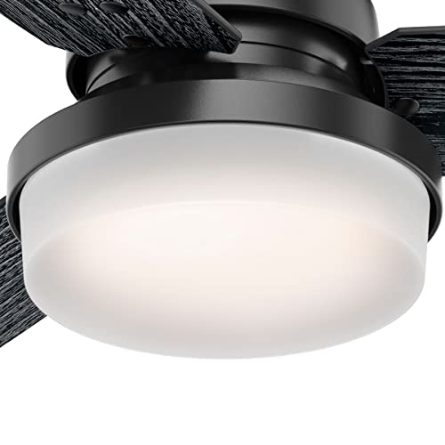 Image of Hunter 52 inch Indoor Ceiling Fan with LED Light and Remote Control - Black Ceiling Fan, Standard Mount, 3 Blades, For Bedroom, Living Room, or Kitchen - Sentinel 50285, Matte Black