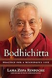 Bodhichitta: Practice for a Meaningful Life