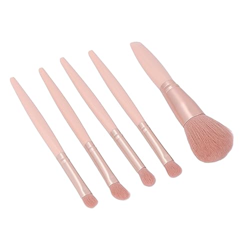 Pinceaux de Maquillage, 5pcs Pinceaux de Maquillage Respectueux de la Peau Ensemble Poignée Douce et Confortable avec Boîte Miroir pour le Visage pour les Ombres à Paupières