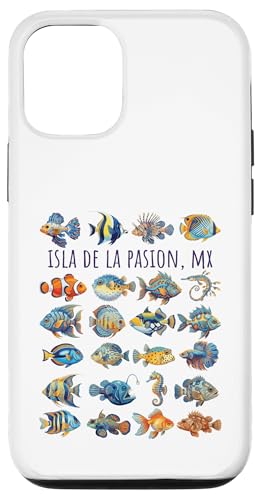 Isa de Pasion Cozumel�A���L�V�R�A�J���t���ȋ��̃f�U�C���B �X�}�z�P�[�X iPhone 12/12 Pro �p
