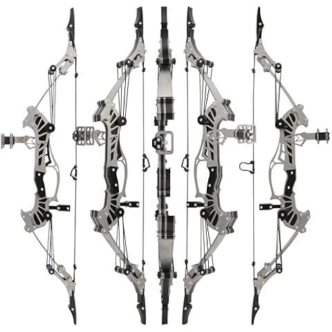 ZSHJGJR 16" Mini Compound Bow 16lbs, Mini Archery Bow and Arrow Set, Mini Recurve Bow Set, Right/Left Handed for Target Shooting Hunting Games Archery Bow Set Gift (with 8 Arrows) Cover