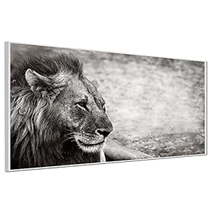 Ecowelle Infraroodverwarming met afbeelding | 1200 Watt | 60×120 cm | infrarood verwarming | Made in Germany | wit aluminium profiel | b 66 leeuw
