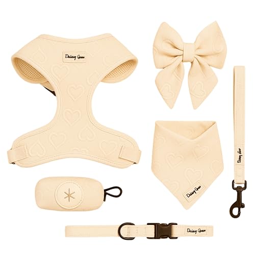 Daizzy Gear Medium Dog Harness Set – No Pull Harness with Matching Leash, Collar, Bandana, Sailor Bow & Poop Bag Holder – Pastel Cream with Heart Embroidery – Adjustable, Soft, Aesthetic Outfit