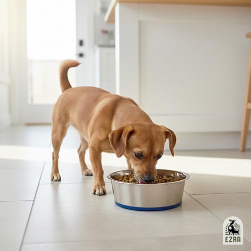 Image of Ezra Classic Stainless Steel Dog Bowl | Anti-Skid Pet Feeding Bowl for Food & Water | Durable & Easy to Clean Bowl for Dogs & Puppies, 4200 ml