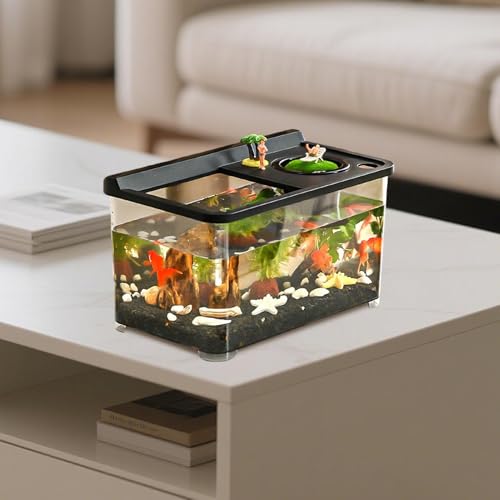 Aquarium Betta compact éclairage multicolore pour embellir bureau et salon facilement - 4
