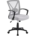 Yaheetech Office Desk Chair Executive Task Chair Mid-Back Computer Chair with Armrest Adjustable Lumbar Support and Rolling Wheels for Study and Works, Light Grey