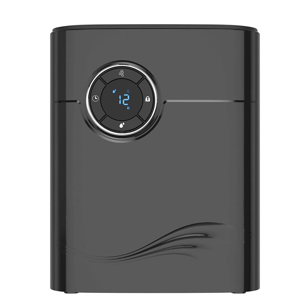 Deumidificatore Portatile 2 in 1 Deumidificatore Purificatore Anionico Purificatore d'Aria Elettrico Silenzioso,Svart-Talla ?nica