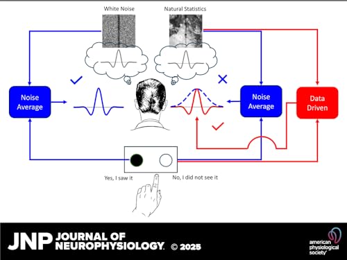 Uncovering Perceptual Templates with Natural Statistics Podcast Por arte de portada