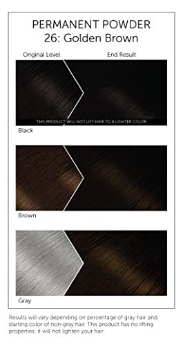#26 Golden Brown Bigen Polvo Permanente - 3 Pack miniatura 3