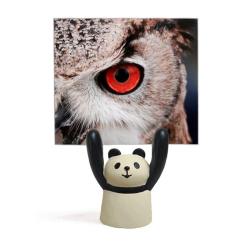 Support de mémo hibou et panda en dessin animé pour photos