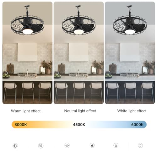 FRDSEBN(小さな店) 20インチ屋外用シーリングファン の商品画像 3