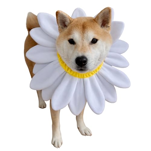 Disfraz Collar Floral Blanco para Perros XL