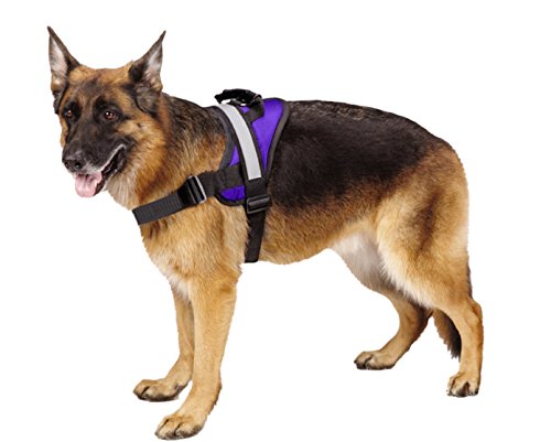 EXPAWLORER Big Dog Soft Reflective No Pull Purple Harness Size L 26-36inch