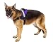 Big Dog Soft Reflective No Pull Purple Harness Size M 20-26inch