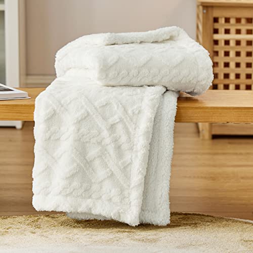 Bedsure Sherpa Fleece Throw Blanket - Super Soft, Cozy & War