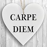 Tolles Holzschild zur Dekoration mit einem Juteband zum aufängen. Mit der Bohrungen kann man die Schilder auch anders befestigen.