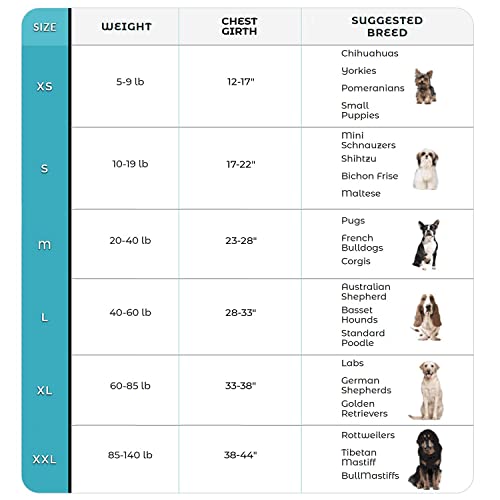 Joyride Harness for Small, Medium, Large Dogs, No-Pull Pet Harness with 3 Side Rings for Leash Placement, Adjustable… - Image 4