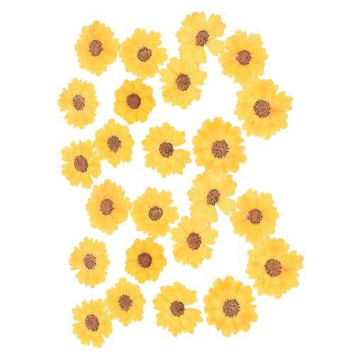 CORHAD 48 flores secas prensadas para manualidades miniatura 1