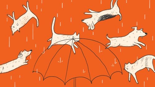 It's Raining Cats and Dogs