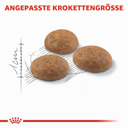 ROYAL CANIN Outdoor | 400 g | Trockenfutter für Katzen | Für ausgewachsene Katzen (vom 1. bis zum 7. Lebensjahr) mit häufigem Freilauf und regelmäßiger Bewegung