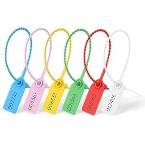 Flintronic 60 PCS Inviolable Scelle la Signalisation, 250mm/9.8in Attaches en Plastique Autobloquantes Imprimé avec le numéro de série, languettes de sécurité jetables pour Extincteur, Expédition