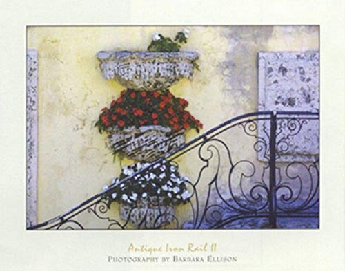 BUY ART FOR LESS Antique Iron Rail II by Barbara Ellison 16 X 20 Poster,Stairway, Front Entrance, Flower Boxes, Hand Rail, Vintage Floral, Steps