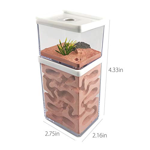 Mocohana 9412GJYMOMYX1 Ant Farm Box Ant Home thumb #6