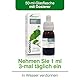 Ginkgo Biloba Natürlicher Extrakt 50ml – Unterstützt Gedächtnis, Konzentration und Durchblutung – Bessere Aufnahme als Gingko Biloba Kapseln - Soria Natural