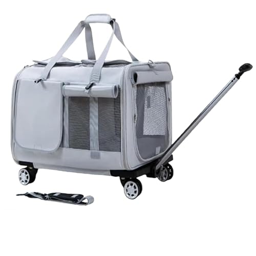 L[P[X L 2Cp jo[TzC[Aʉ@ ЊQp ʋCAeʁAybgL[ ybgL[ LX^[t s ԍ LsO (CgO[)