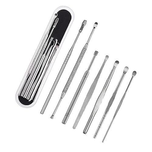 Holibanna Limpiador De Cera De Oído De Acero Inoxidable Herramientas Para Cuidado Del Oído Con Caja De Almacenamiento Accesorios Para Limpieza De Oídos