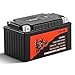 VEVOR Motorcycle Battery, 12 Volt 6Ah, LiFePO4 Lithium Pre-Charged Powersports Battery, Maintenance Free & High Performance, Compatible with ATV, Motorcycle, Jet Skis, Scooter, UTV, and More